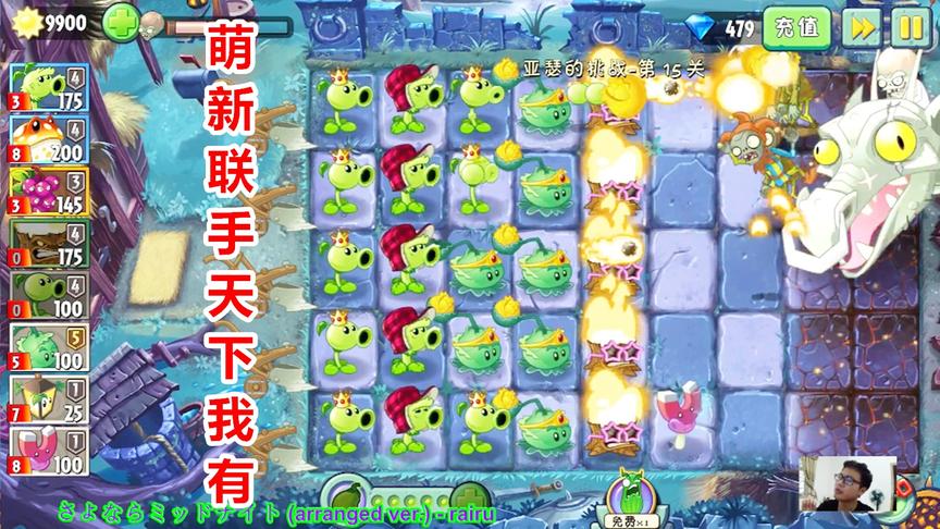 植物大战僵尸2：两大新手植物豌豆和卷心菜合作奋斗无尽模式