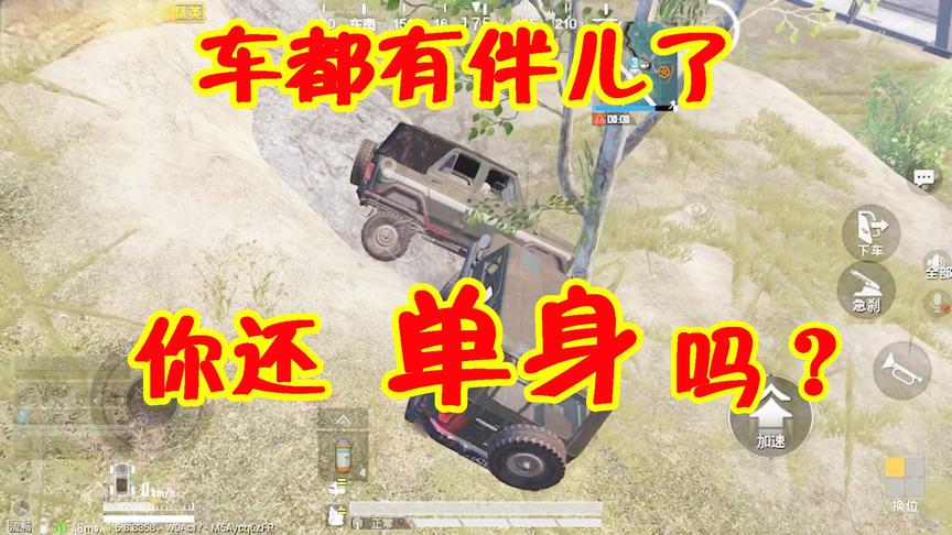 三生解说：2020！车都有伴儿了，你还单身吗！