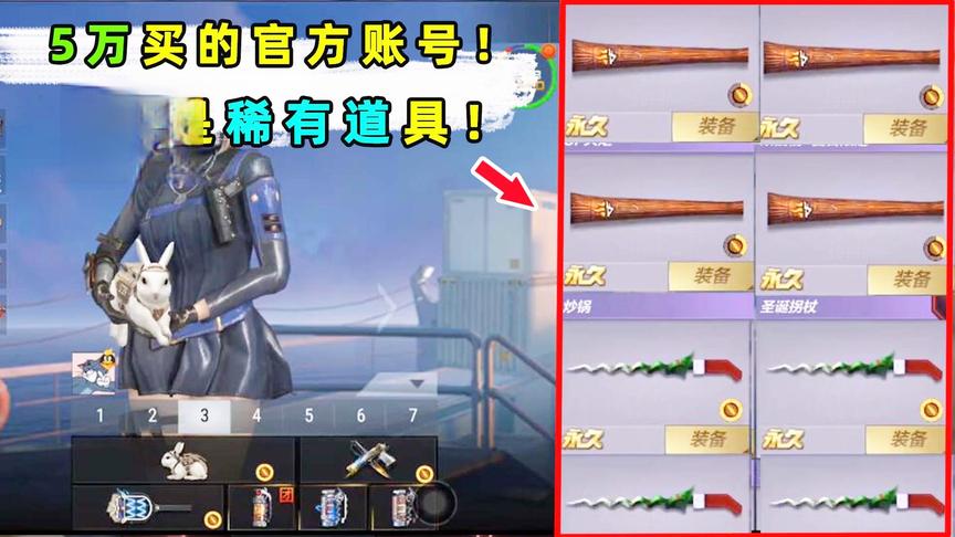 5万块买的官方测试账号，里面全是绝版永久道具！只有老玩家见过