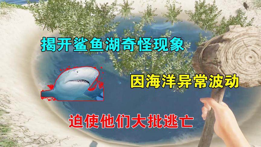 荒岛求生19：揭开鲨鱼湖的奇怪现象？海洋异常波动，迫使盘踞此处