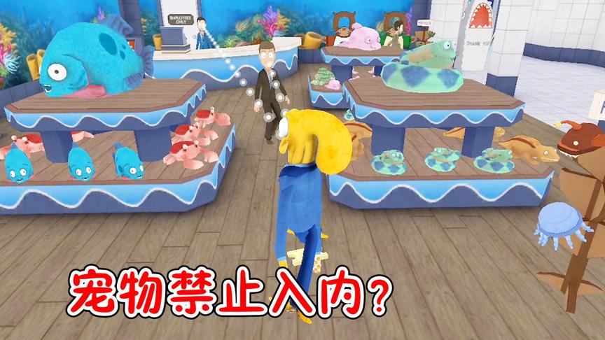 章鱼奶爸：鱼豆进水族馆被当成宠物？这次真生了要砸场子！