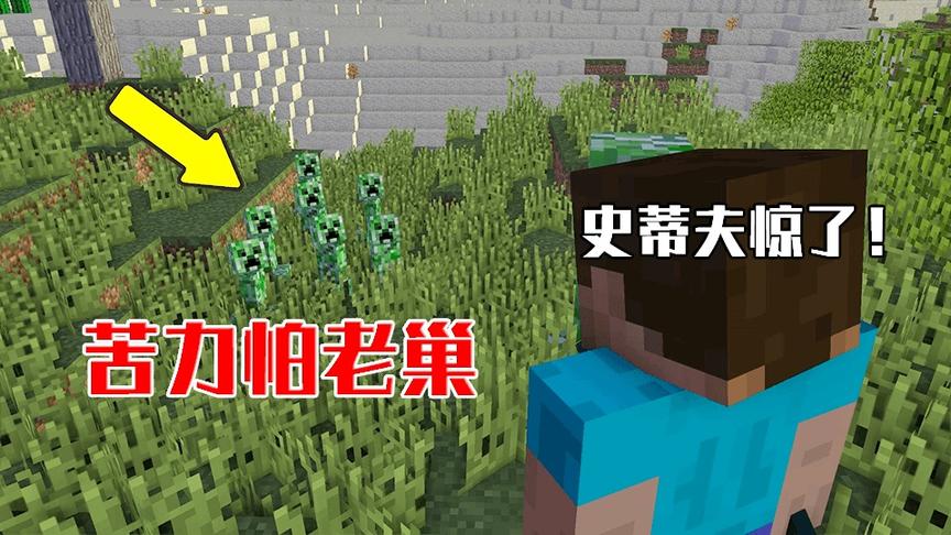 我的世界：史蒂夫误入苦力怕老巢，小白能否助他复仇