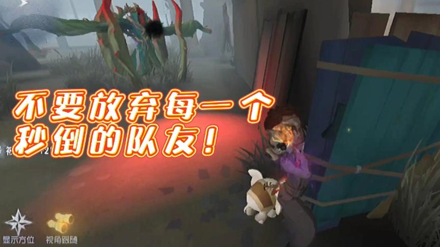 第五人格：抱歉！我只是秒倒，并不是你口中的“四阶一就这？”。