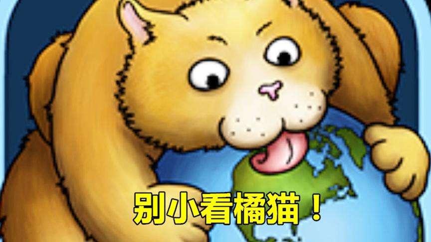 美味星球：别惹怒橘猫，橘猫胖起来能吃掉整个城市