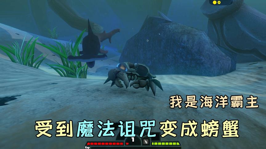 海底大猎杀：受到魔法诅咒变成螃蟹？看小螃蟹如何成为海洋霸主！