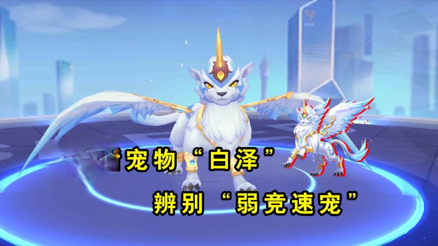 游戏随心说：全新宠物白泽！教你辨别弱竞速宠，避免浪费钻石点券