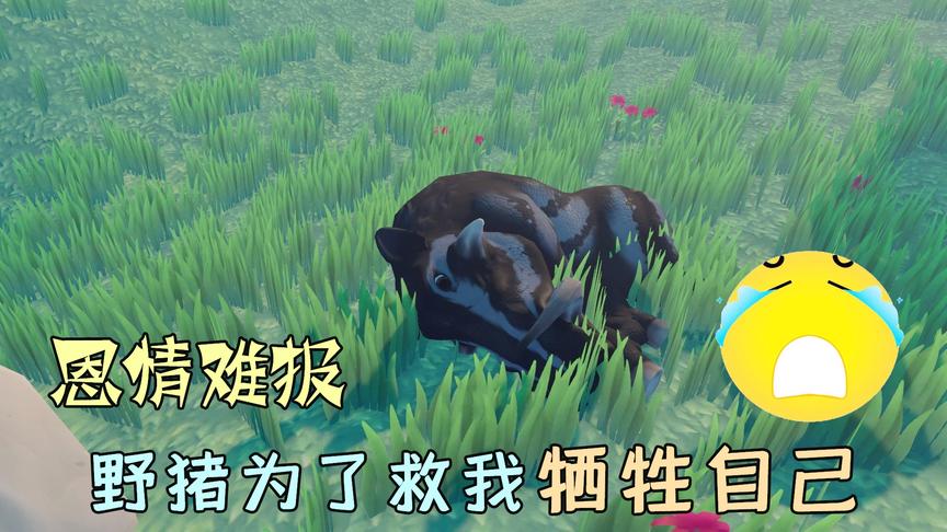 木筏求生64：和巨鹰交战陷入危机？关键时刻，野猪牺牲自己救了我