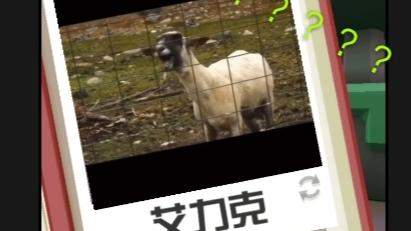 疯狂动物园:这照片有问题