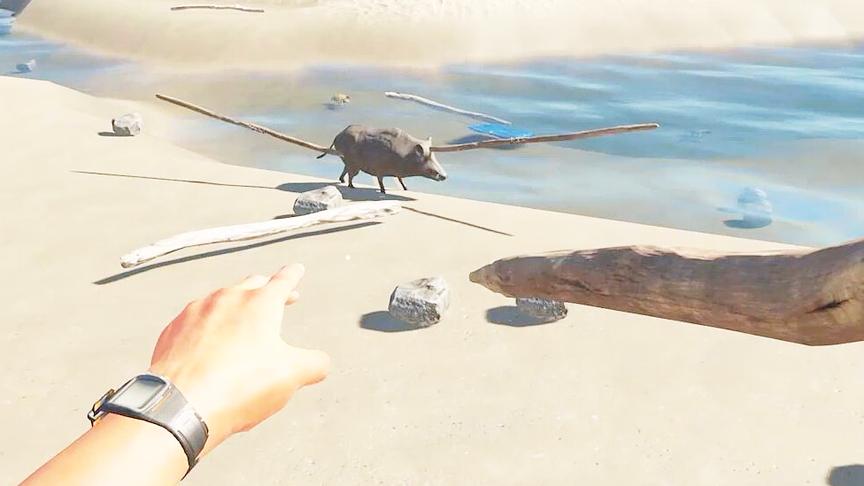 荒岛求生14：二师兄被我拍了一针后疯了，晚上探索沉船遭鬼打墙？