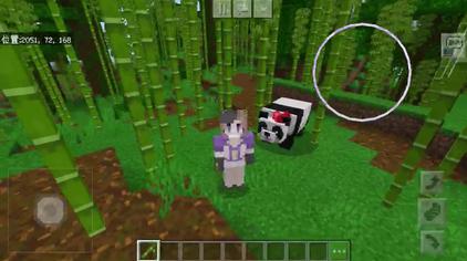 Minecraft丛林种子 西瓜视频