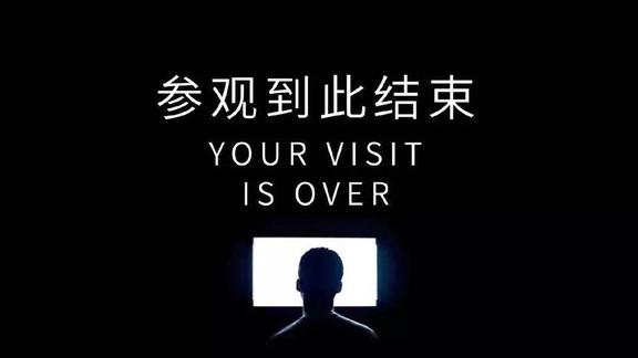 电影剪辑师小猪