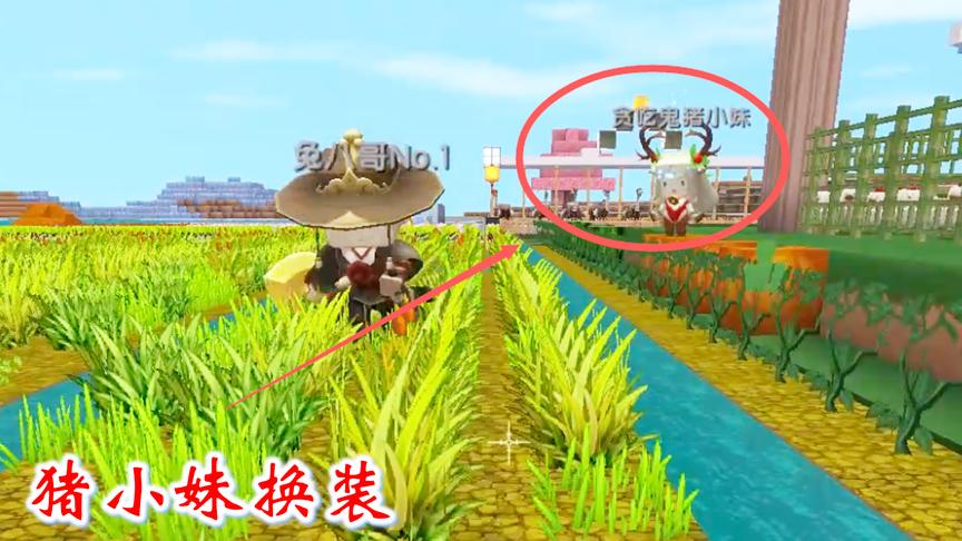 迷你世界联机高级生存216：猪小妹省吃俭用，买了一套叮叮当皮肤