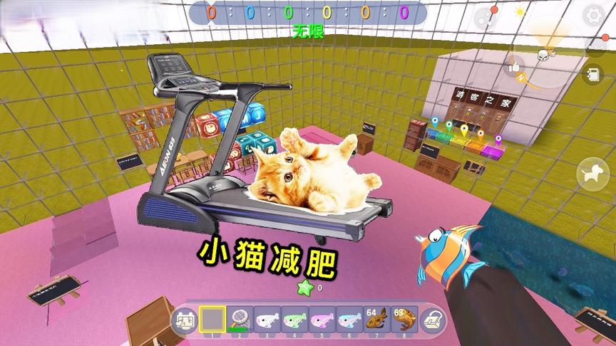 迷你世界：房主是小猫，天天不爱运动，只好买台跑步机训练它