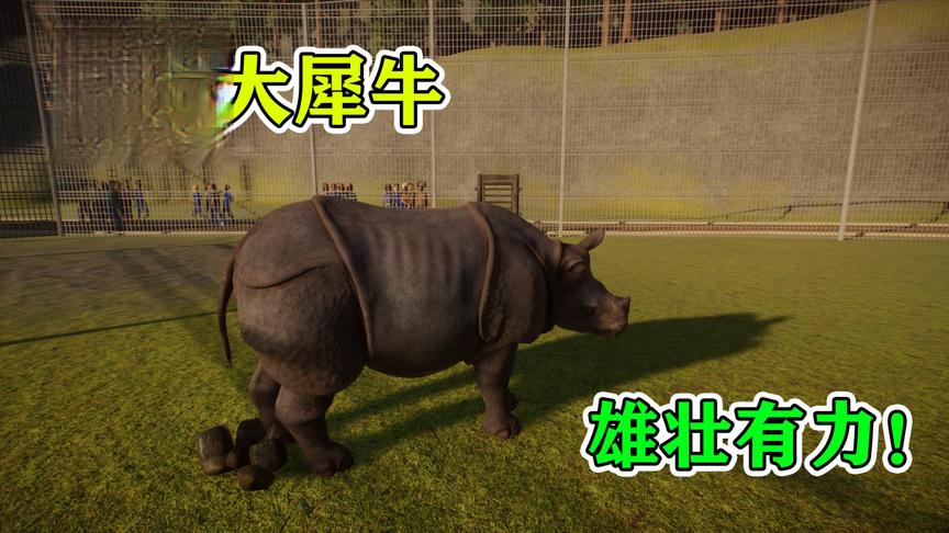 动物园建设16：动物园新增大犀牛，看起来雄壮有力！