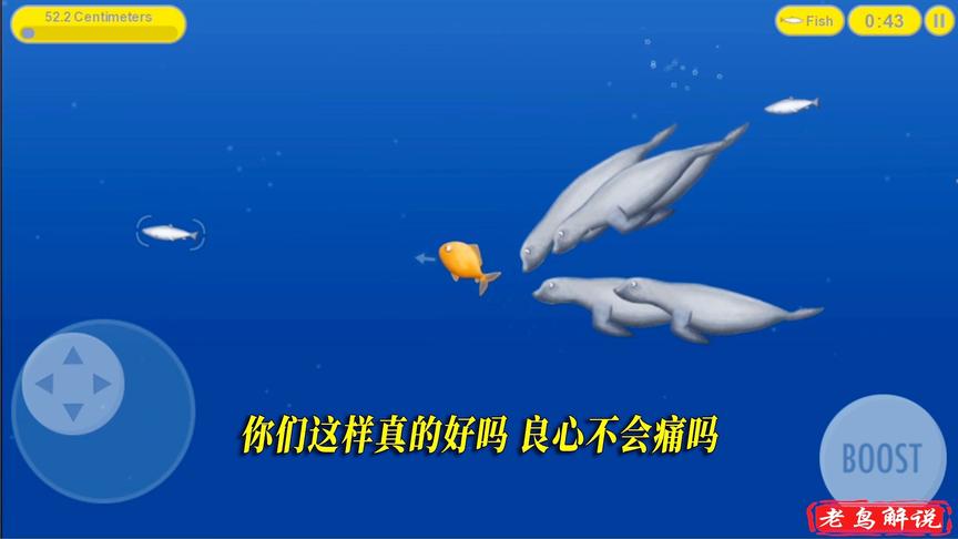 美味汪洋：开局就被五只海豹围攻，立马成为最惨食人鱼