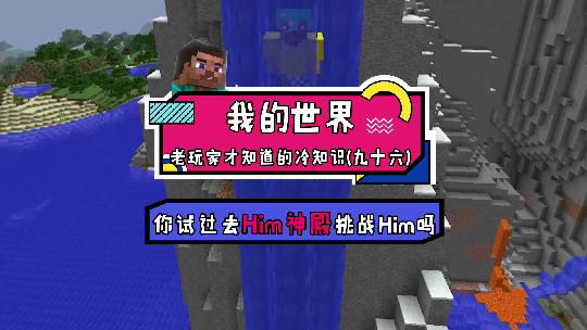 我的世界：你想知道召唤him的方法吗？只要凑齐这些东西就可以咯
