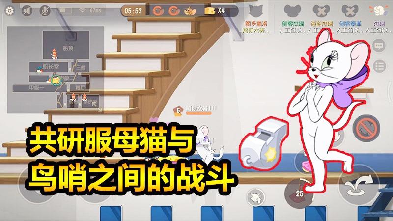 随风猫皇之路29：刚刚上线就被吊打？这可能是最丢人的新猫了！