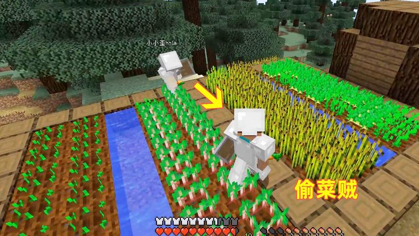 我的世界第19期！我变成一名偷菜贼，把村民的蔬菜全偷回了家