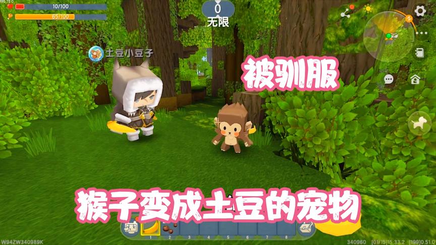 迷你世界：半拉辛苦摘香蕉，结果回来后，猴子却被土豆驯服