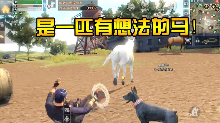 明日之后13：随风去套白马，谁知它有了自己的想法！