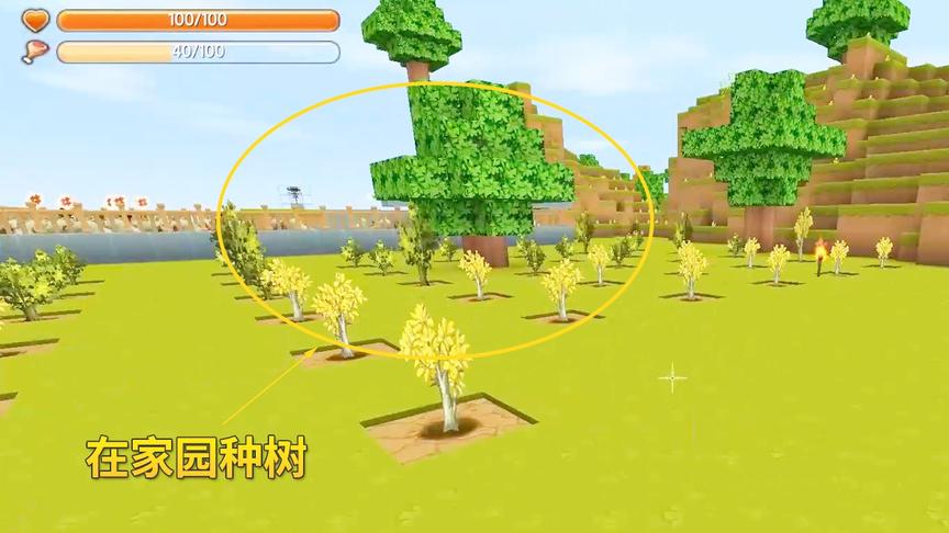 迷你世界极限生存45：家里的空地闲着，我将其开垦出来种一些树苗