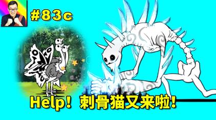 刺骨猫五阶进化 西瓜视频