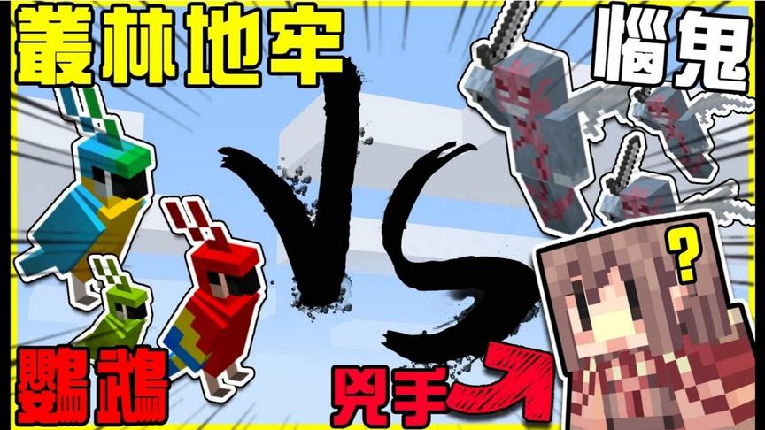 空中争霸战：鹦鹉大战恼鬼!!到底为什么连一只河马都赶不回去家里