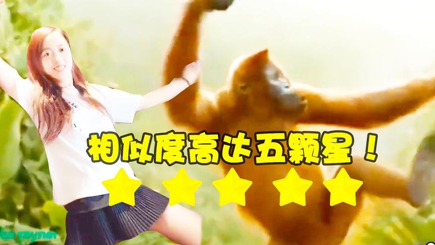 板娘小薇：小薇这次又跳了什么新舞蹈？这个相似度也太高了点吧！