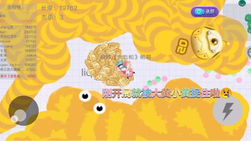 刚刚开始就被大黄小黄抓住了看美女蛇王如何逆袭成功吃掉最大蛇王