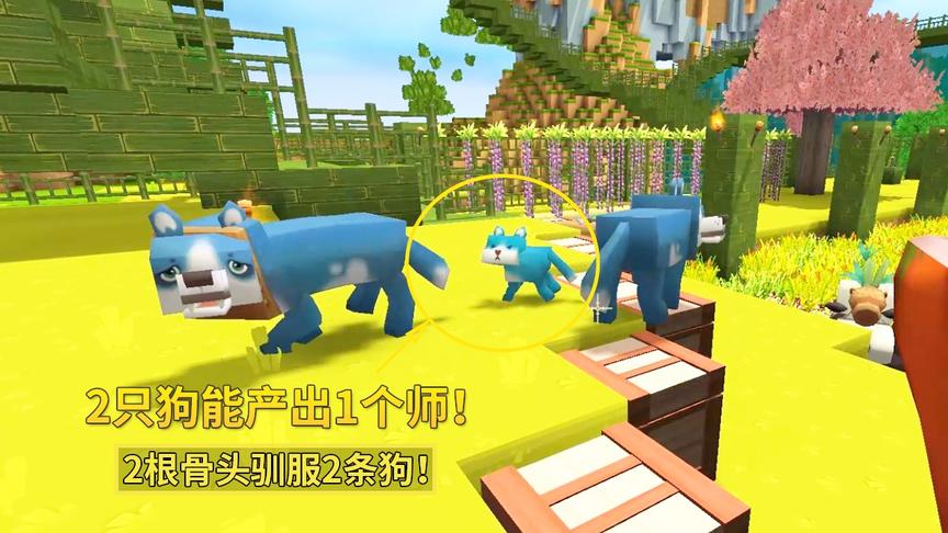 迷你世界极限生存29：2根骨头带回2条狗，能为我产出一个师的兵力