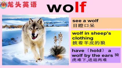 Lf英语代表什么意思 西瓜视频