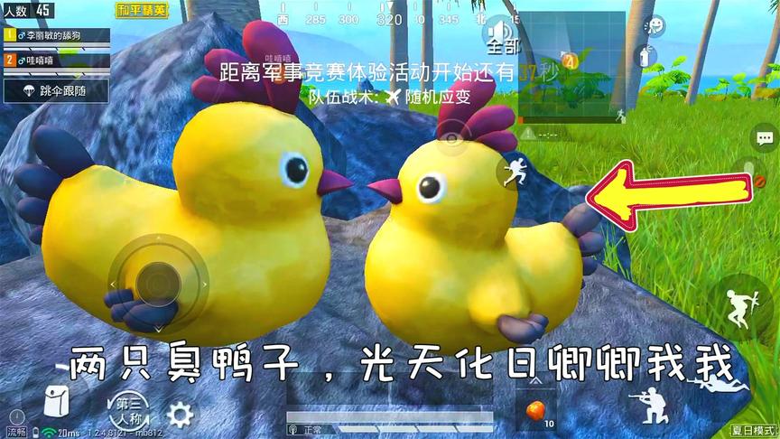 炮芯解说：两只臭鸭子，居然光天化日撒狗粮，兄弟们炖了它！