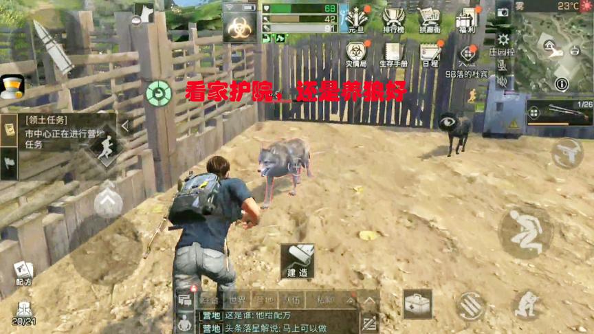 明日之后20：我在自己家里养了一匹狼，这下看谁敢偷我家
