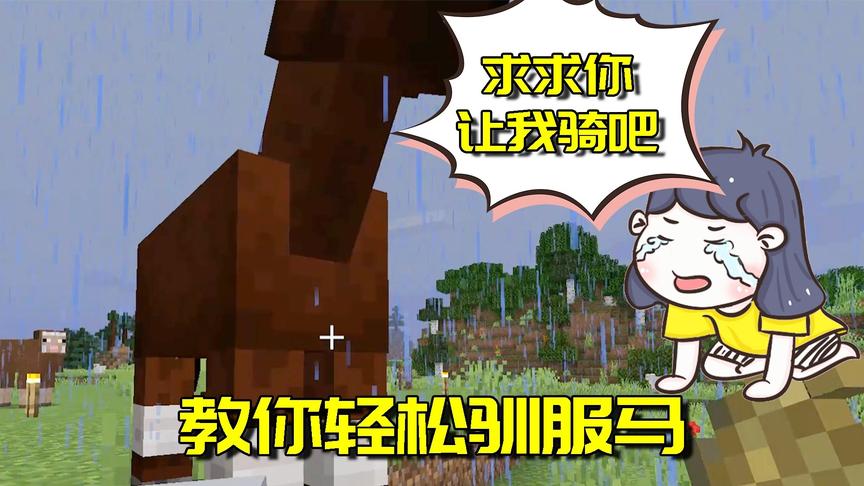 我的世界生存日记62：没有马草如何驯服野马？学会这个就没问题！