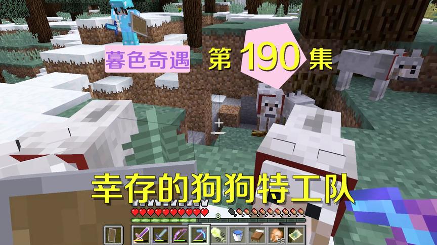 我的世界阿阳暮色奇遇190：狗狗特工队突围出极光宫殿，我很兴奋