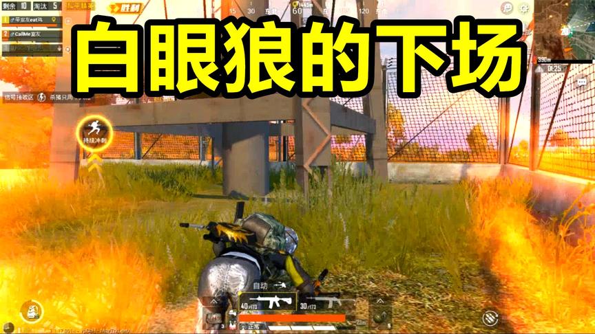 和平精英：队友公然开所有人暴露我行踪，看到白眼狼的下场我笑了