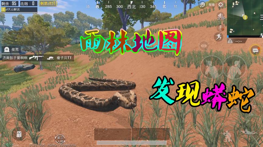 刺激战场粉丝帮13：在雨林地图中发现“蟒蛇”你敢信？