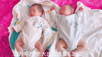 怀孕29周是几个月了 西瓜视频