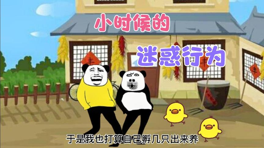 沙雕动画：小时候看到小鸡，于是学母鸡孵蛋，结果没孵出来。