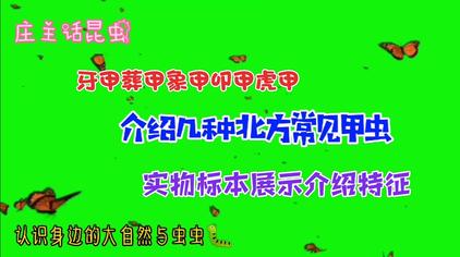 甲虫种类 西瓜视频