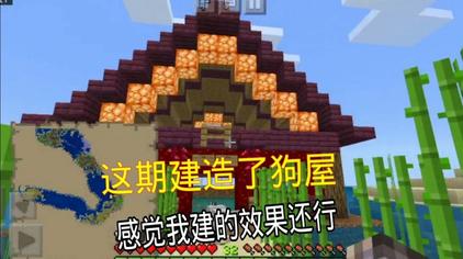 Minecraft 狗屋和猫屋 西瓜视频