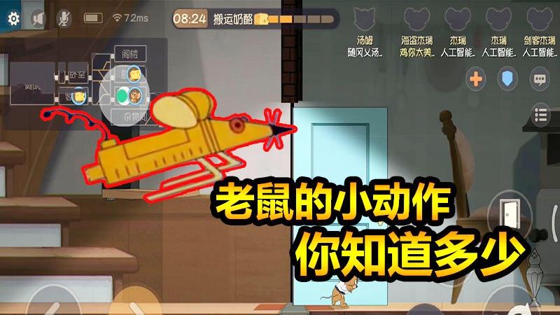 随风猫皇之路10：看不到猫就可以知道猫在哪里！这些小动作知道吗
