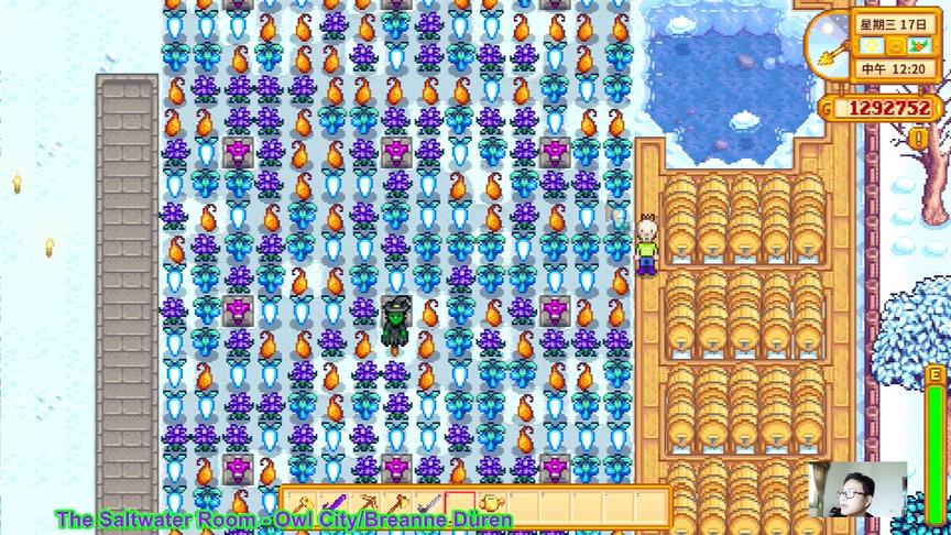 星露谷物语EP86： 你们一天最多赚多少钱？