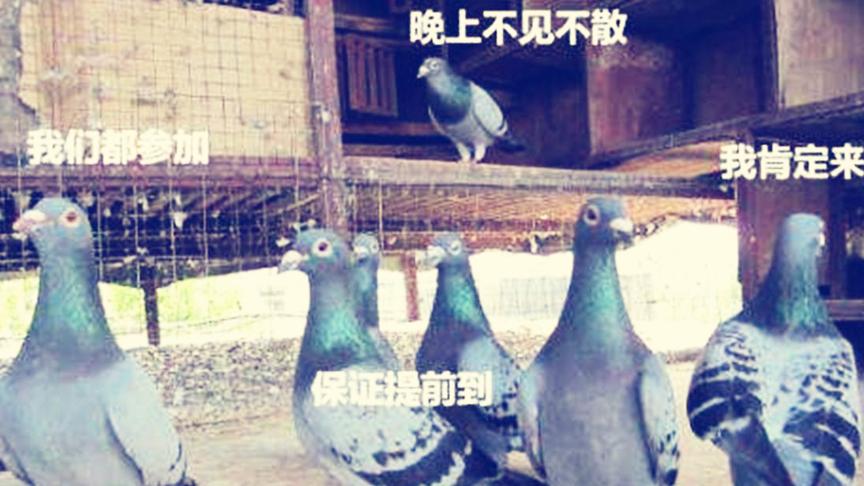 一月有什么游戏好玩？这些游戏值得期待！
