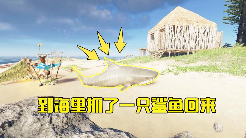 荒岛求生09：到海里抓了只鲨鱼回来，途中鲨鱼重得压着木筏快翻了