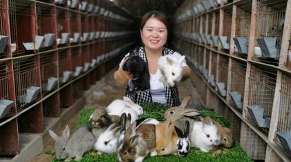 宠物兔子的种类 西瓜视频