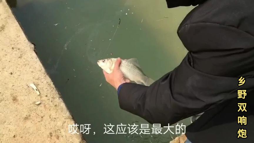 继昨天之后，发现这地方没人钓鱼，今天全家出动，收货满满。