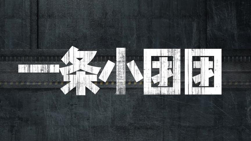 【一条小团团】打包这么久的快递，说收货就收了，想过我的心情吗