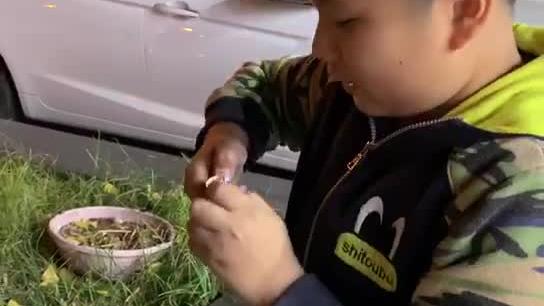 我的小胖子弟弟，哈哈[吐舌]