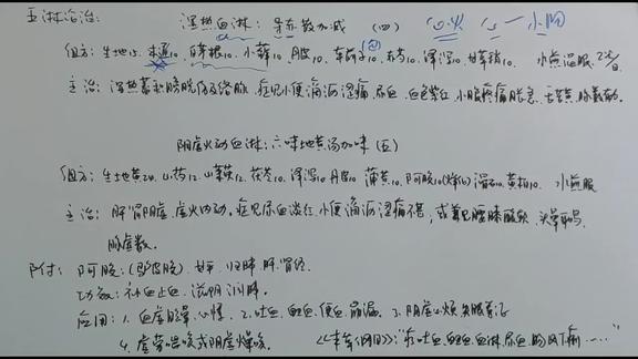 湿热血淋:导赤散加减(四)